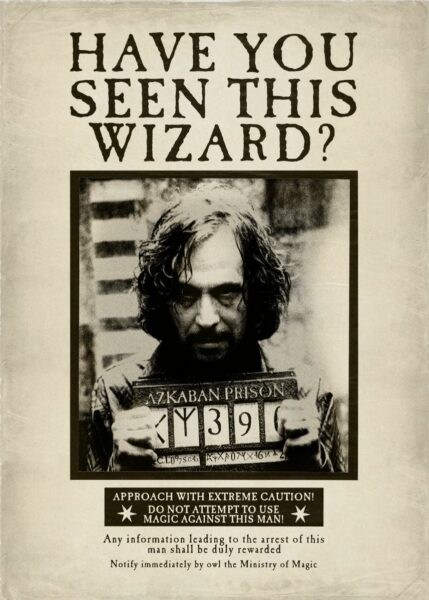 have-you-seen-this-wizard-acrylicposter